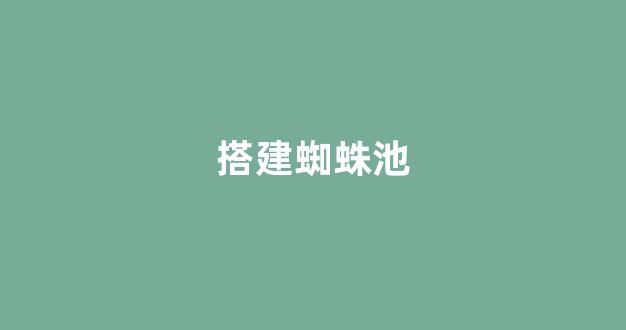 seo搜索引擎优化