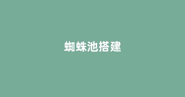 seo排名优化系统